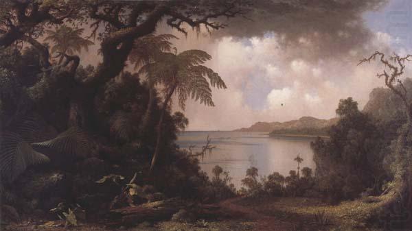 Vew from Fern-Tree Walk,Jamaica, Martin Johnson Heade